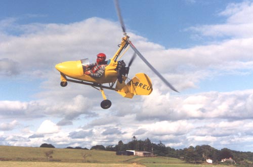 Yellow_Merlin
